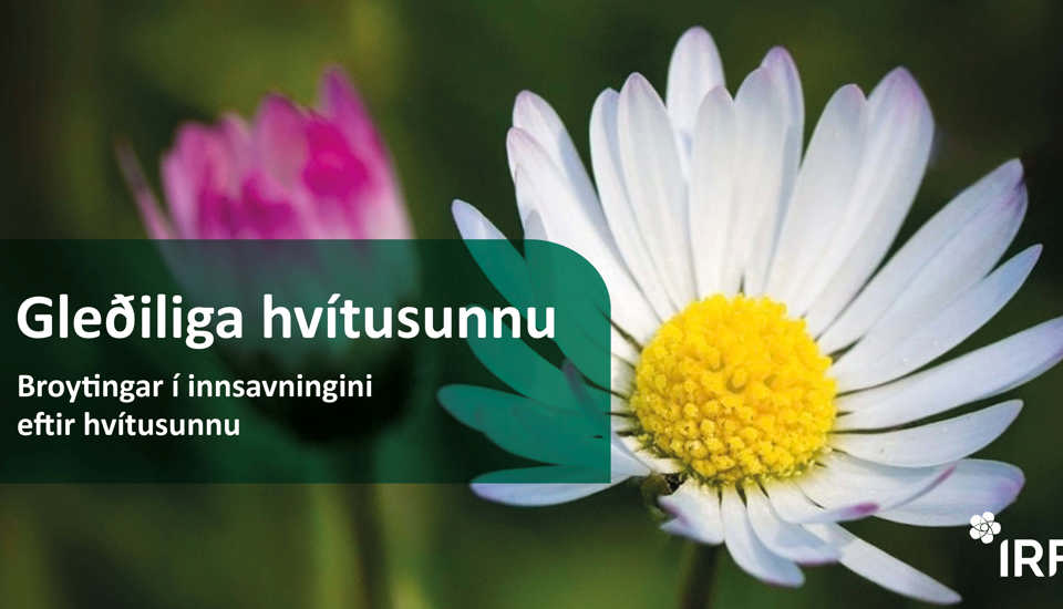Hvítusunna: Broytingar í ruskinnsavningini