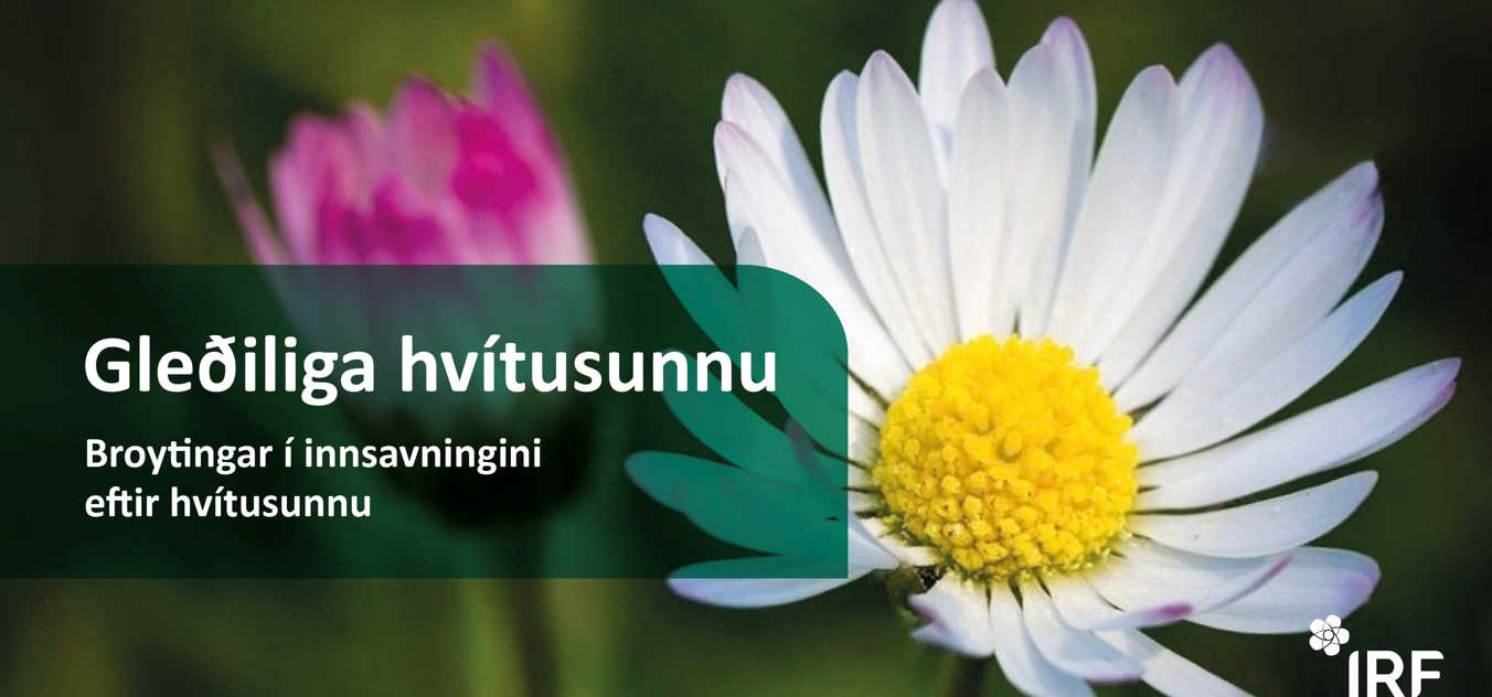 Hvítusunna: Broytingar í ruskinnsavningini